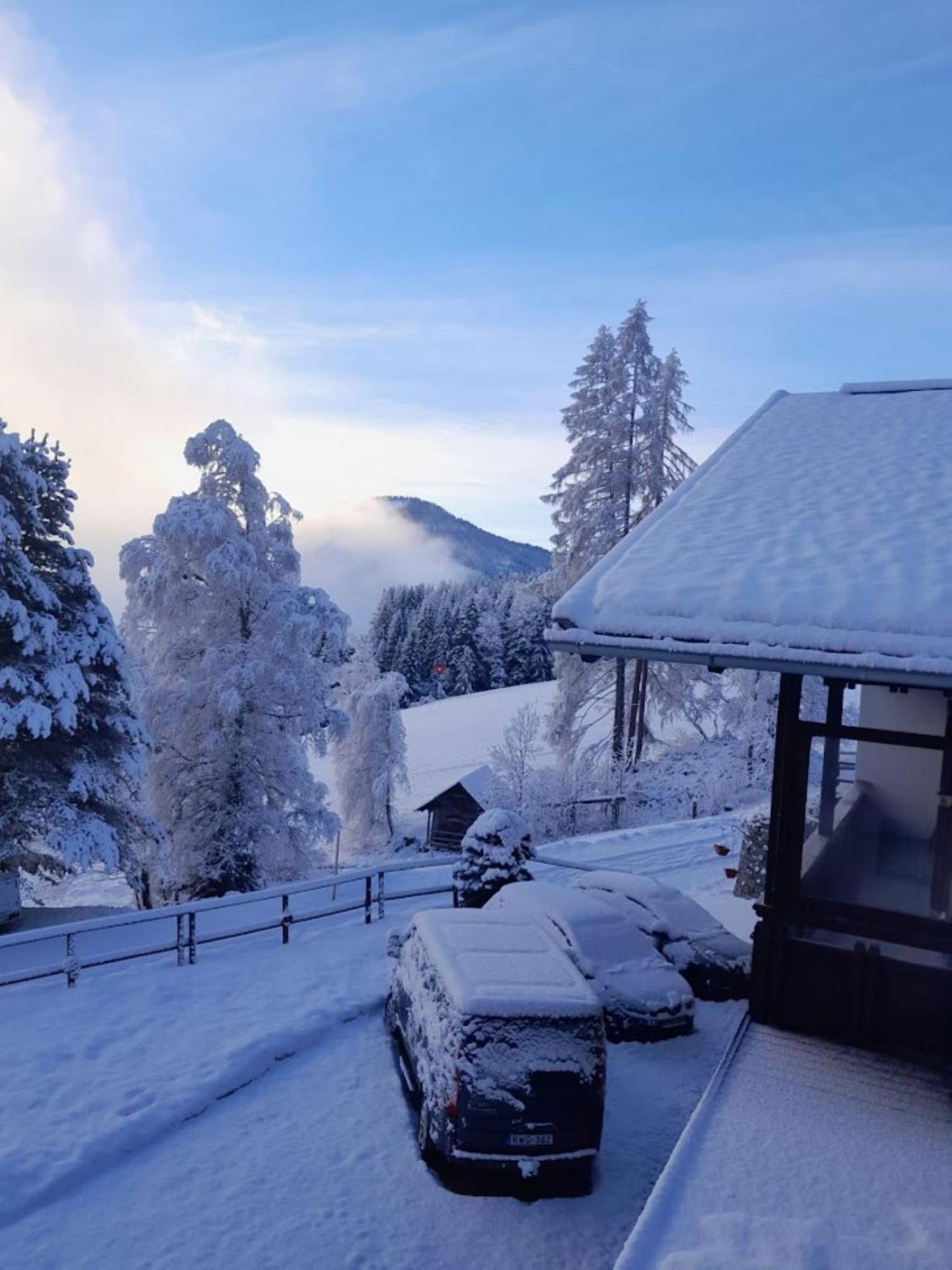 Apartments Pfeffermuehle Bad Kleinkirchheim Eksteriør bilde